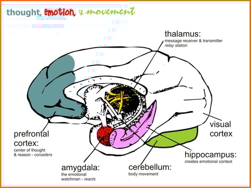 thoughtandemotion
