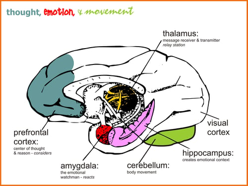 thoughtandemotion